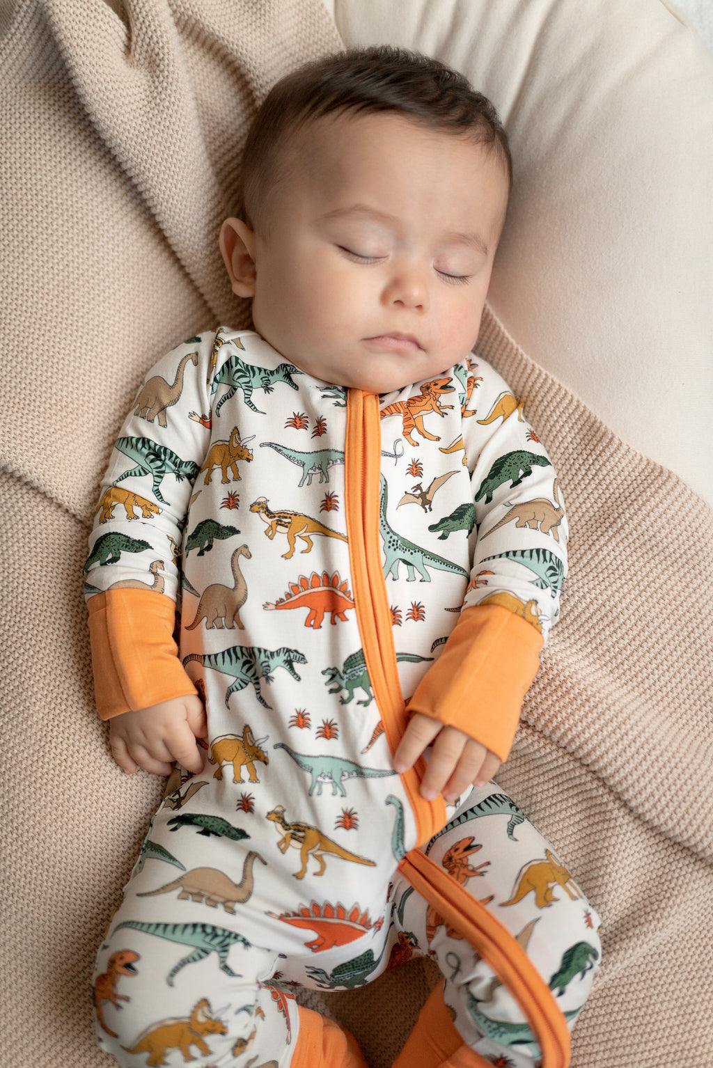 Boho Dinosaur | Zippy